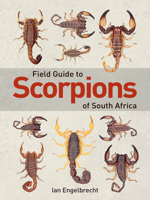 cover image of Field Guide to Scorpions of South Africa